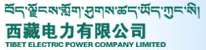 名稱:西藏電力有限公司
描述:西藏電力有限公司